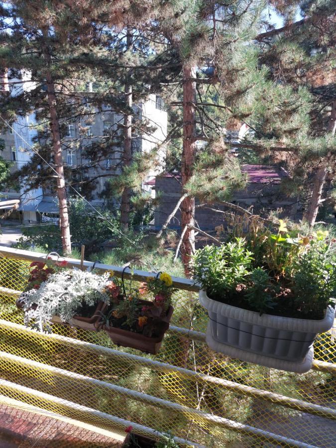 Londa Daire Borjomi Dış mekan fotoğraf