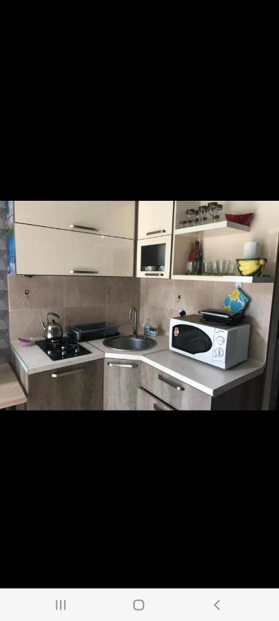 Londa Daire Borjomi Dış mekan fotoğraf