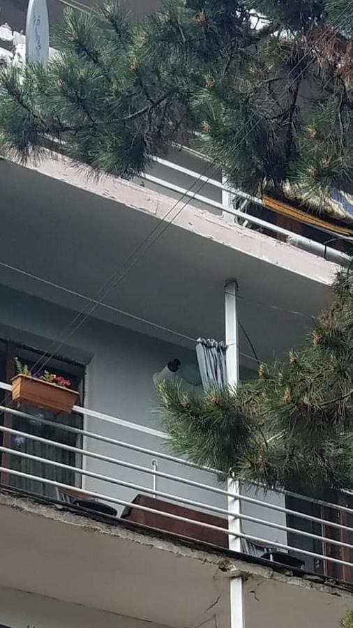 Londa Daire Borjomi Dış mekan fotoğraf